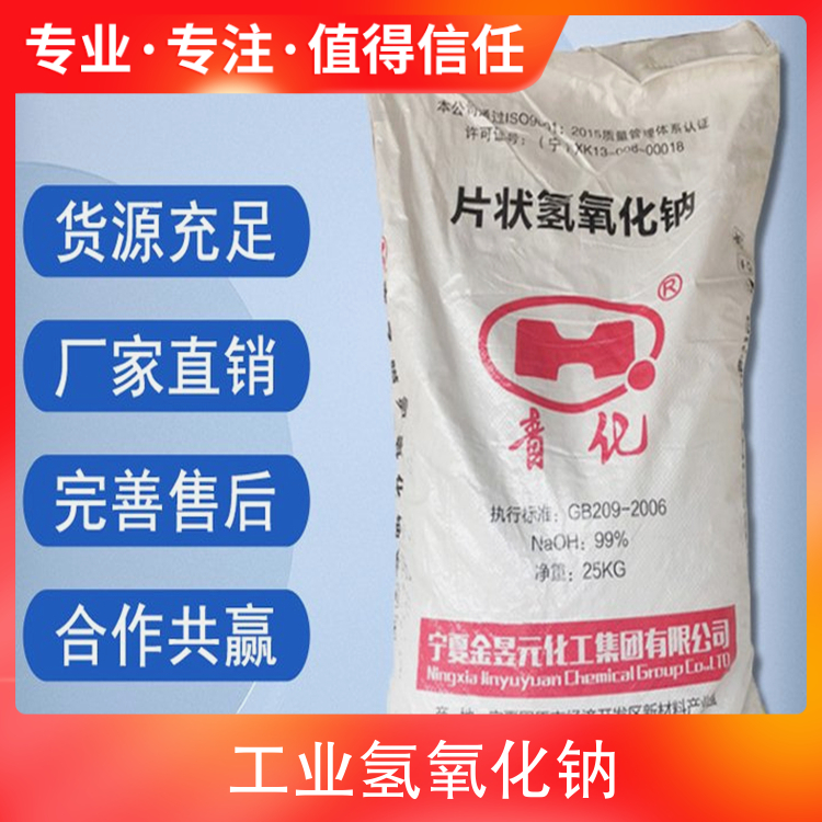 骚逼靠逼网站免费看